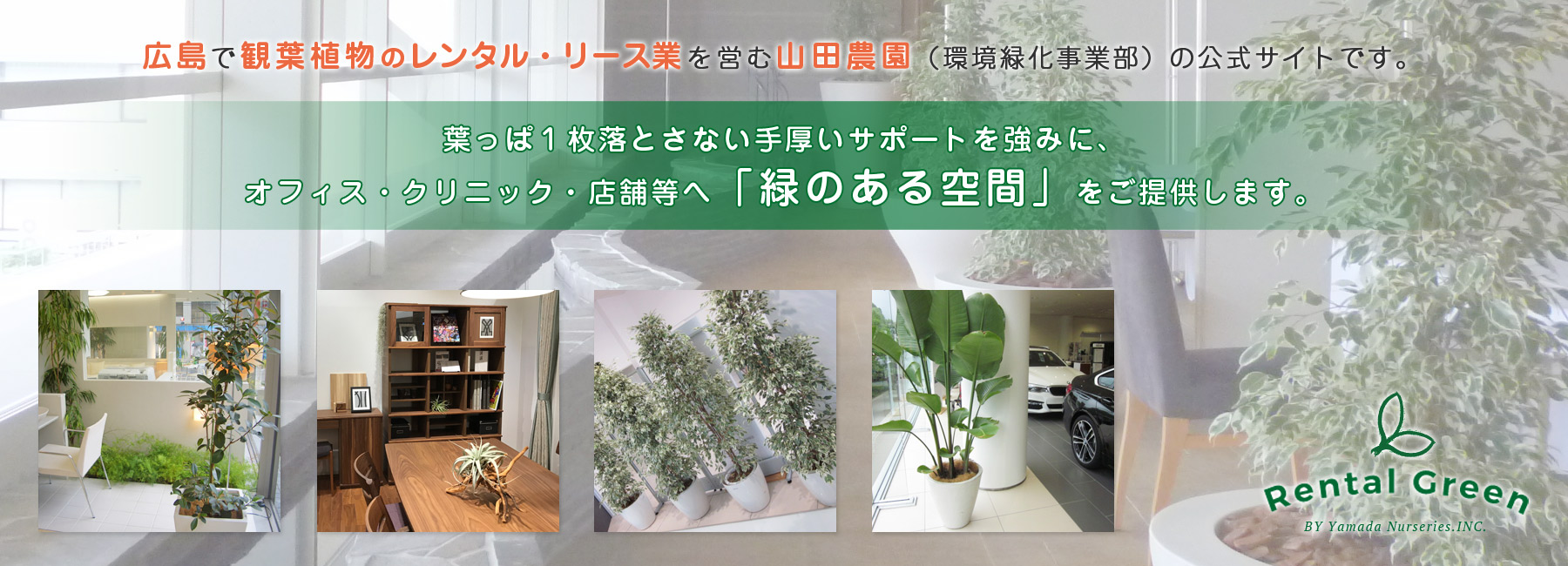  » 【カーショールーム】広島で観葉植物のレンタルした設置事例　